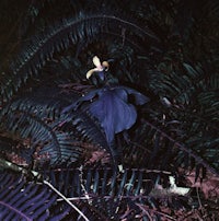 a black and white image of a flower in a dark forest